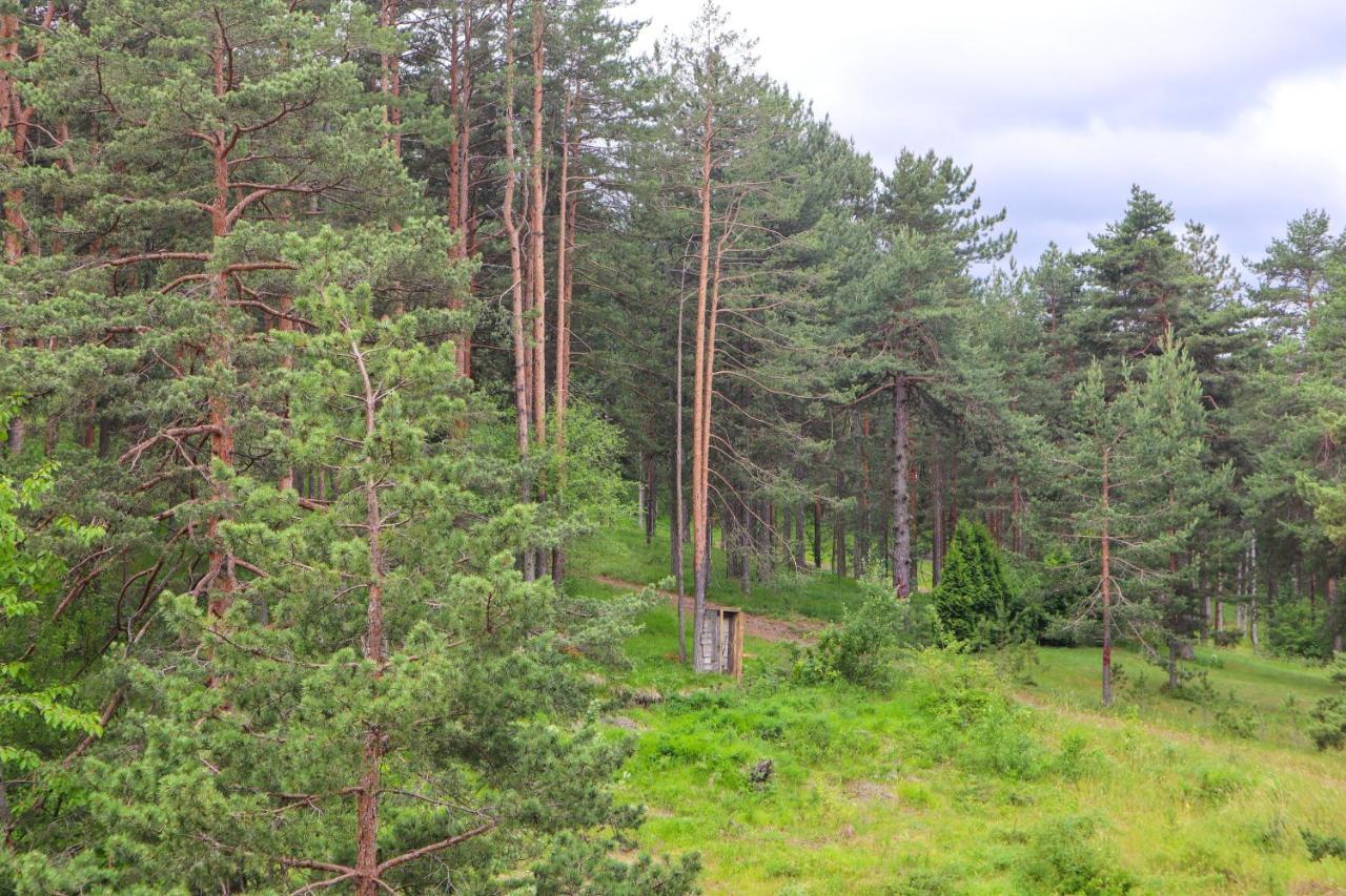 Zlatibor Holiday, Vila Leonardo VI Экстерьер фото