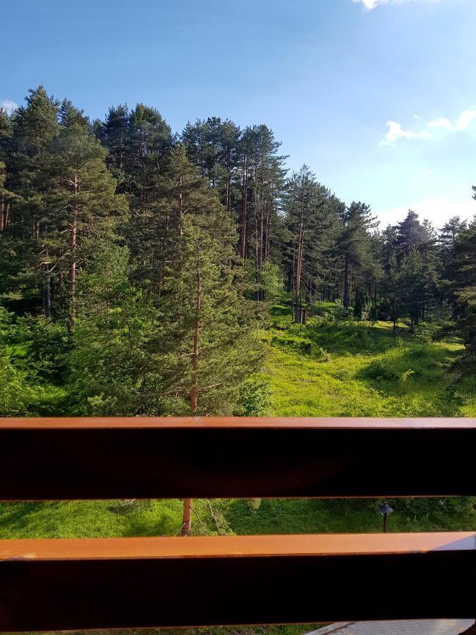Zlatibor Holiday, Vila Leonardo VI Экстерьер фото